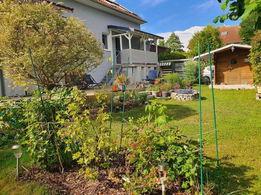 Kornhaus - Schoene Ferienwohnung Mit Pool, Kamin Und Terrasse เกิตทิงเงน ภายนอก รูปภาพ