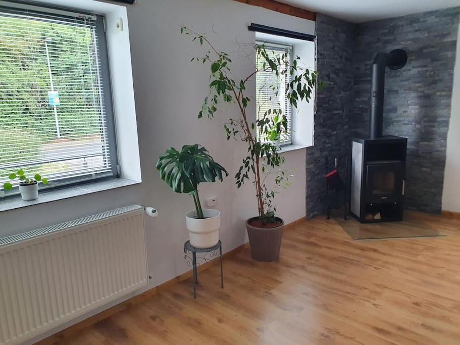 Kornhaus - Schoene Ferienwohnung Mit Pool, Kamin Und Terrasse เกิตทิงเงน ภายนอก รูปภาพ